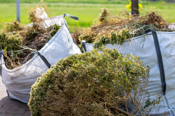 Best Moving and Downsizing Cleanouts  in Alamosa East, CO